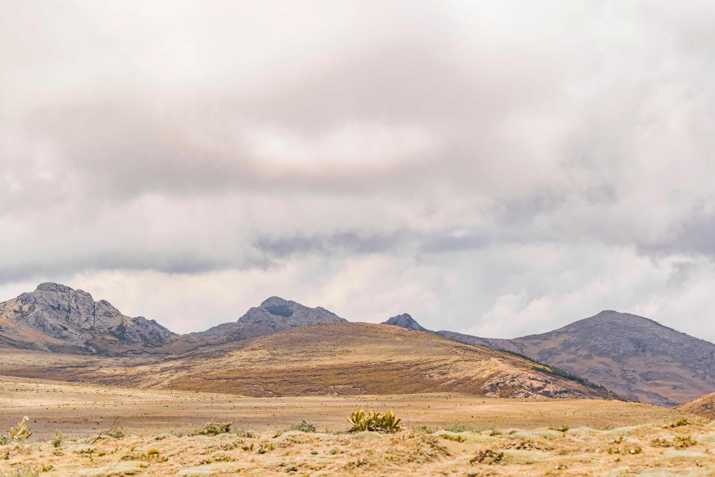 Chimborazo_National_Park[1].webp